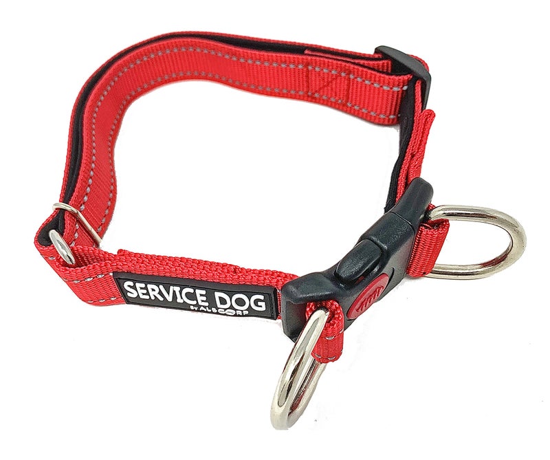 Albcorp Reflective Service Dog Collar â€“ Sizes XS to XL (8.6â€“28.7 Inches), Service Dog Rubber Patch, Neoprene-Padded Comfort & High-Visibility Gear for Dedicated Handlers, Small,Red - Image 2